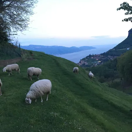 Holiday home Via Sunclass 39 *